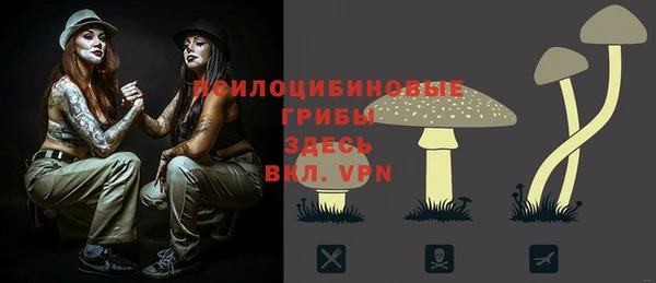 крисы Абинск